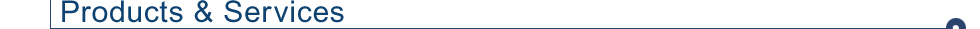 Global Payments Inc.